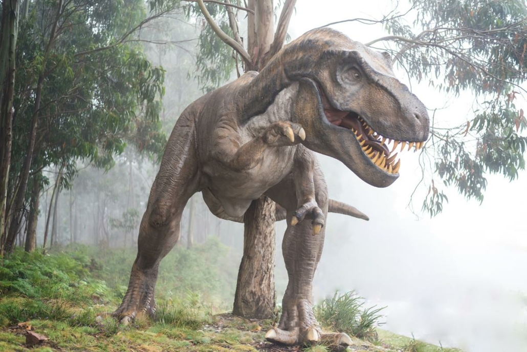 dinoszaurusz T-Rex