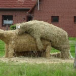 Hancúrozó szalmaállatok