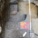 Pannonhalmi Bencés Főapátság ásatás