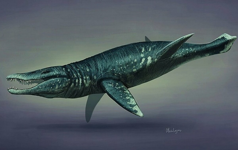 Pliosaurus