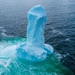 pénisz jégtömb kanada dildo