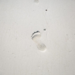 human footprint lábnyom