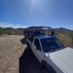 Namíbia - Safari
