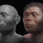 Homo Floresiensis hobbit