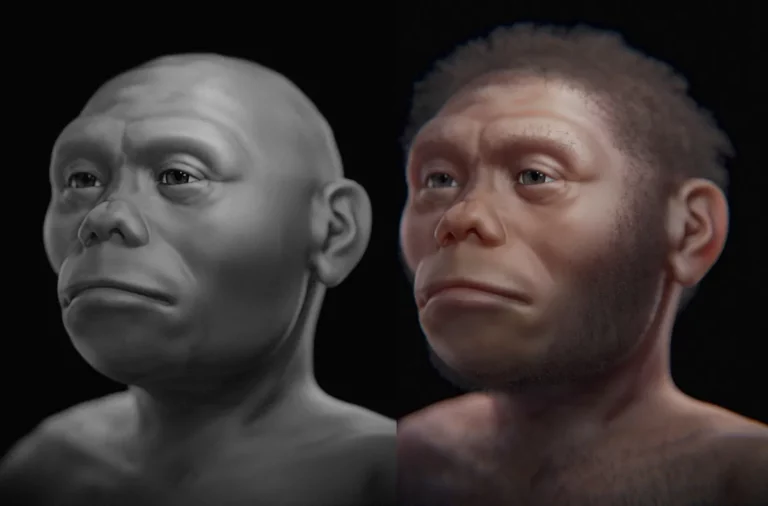Homo Floresiensis hobbit