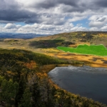 Pando