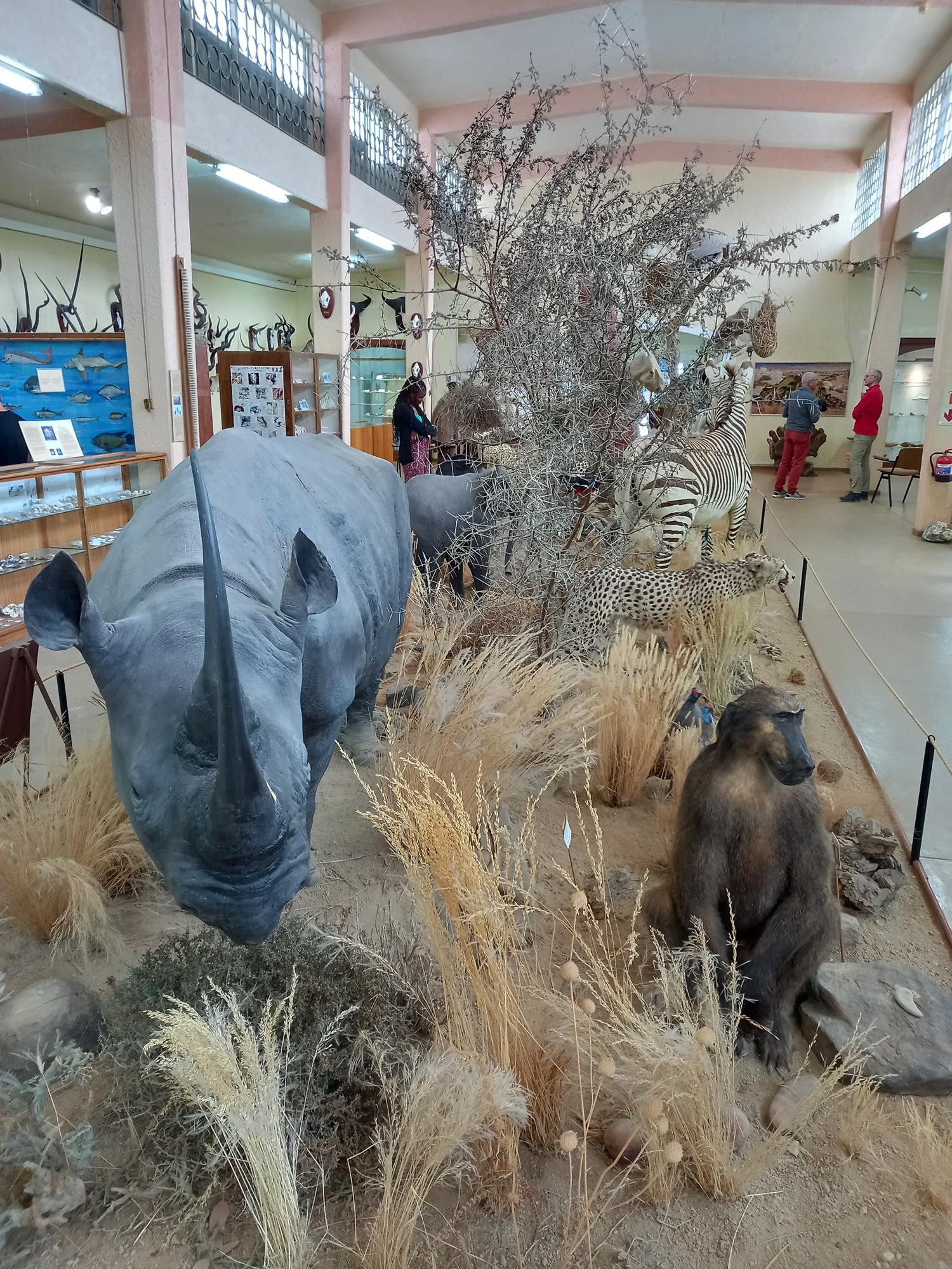 Múzeum - Namíbia 2022 Swakopmund és környéke