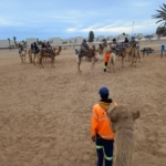 Tevegelés - Namíbia 2022 Swakopmund és környéke
