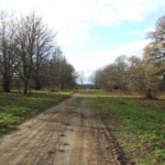 Icknield Way
