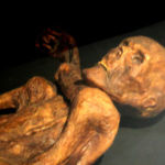 jégmúmia