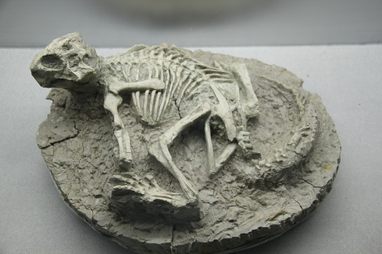 dinoszaurusz vadászat emlős