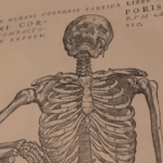 könyv Andreas Vesalius