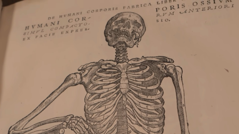 könyv Andreas Vesalius