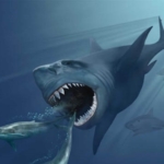 megalodon