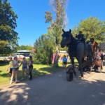 03 - Sziget Fesztivál 2023