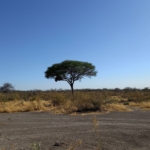 Fészek - Namíbia 2022 Észak és a főváros újra