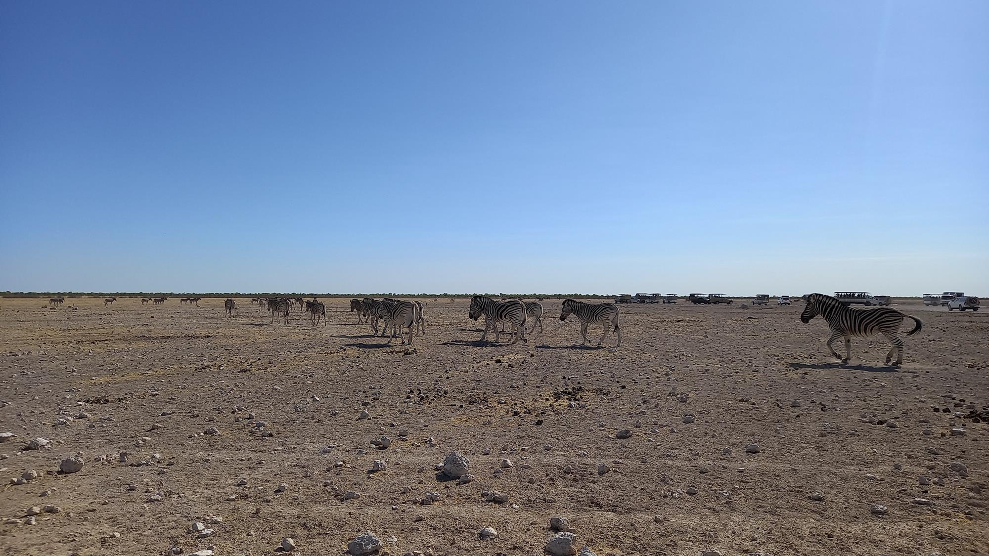 Vándorlás - Namíbia 2022 Észak és a főváros újra