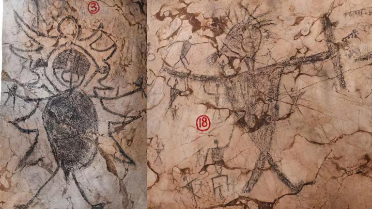 Malajzia sziklarajz véres harcok