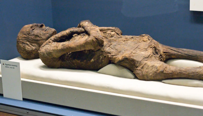 Ennek a múmiának a szájában