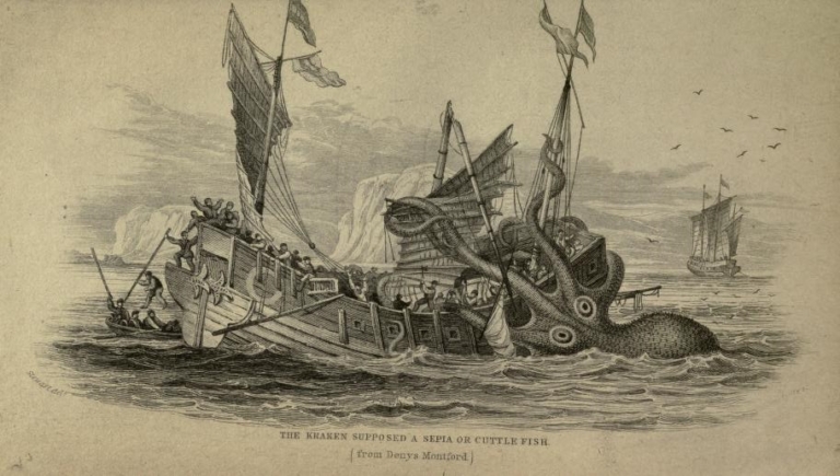kráken tengeri szörny legenda