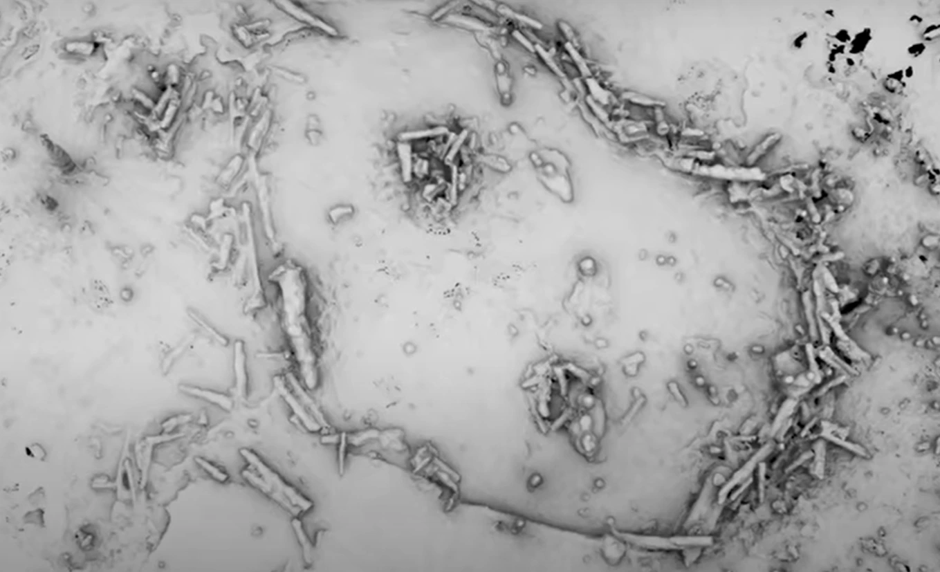 Ősemberek és űrlények