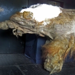 Yoka mamut