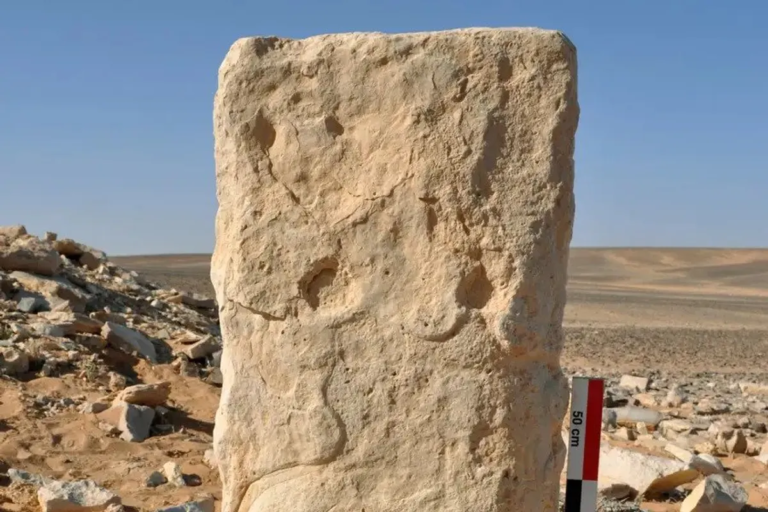 Közel-kelet sivatagi sárkány mérnöki munka