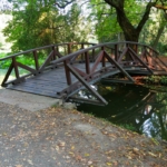 A vácrátóti arborétum