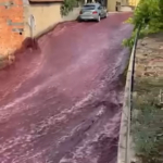 vörösbor portugália