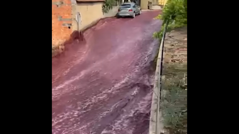 vörösbor portugália