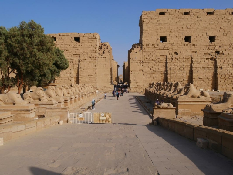 A szent állatok a kosok