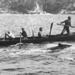 Bálna vadászok kardszárnyú delfinekkel