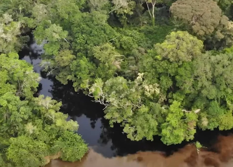 Ez a világ legsötétebb folyója