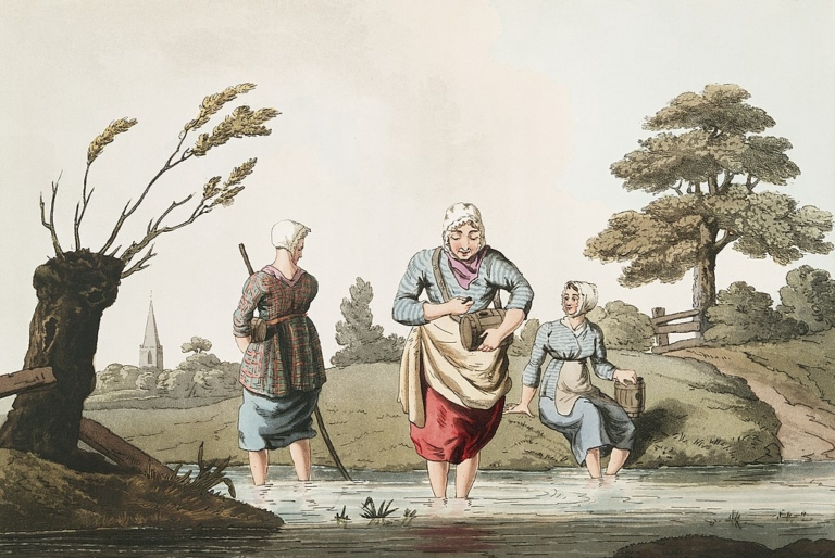 pióca történelmi munka