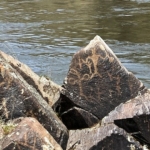 ősi sziklarajz Amazonas