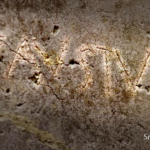 pompeii graffiti