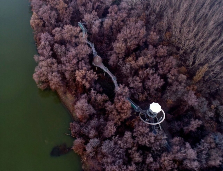 rsz lombkoronasétány messziről