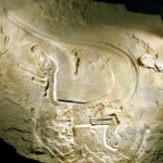 olaj dinoszaurusz fosszília
