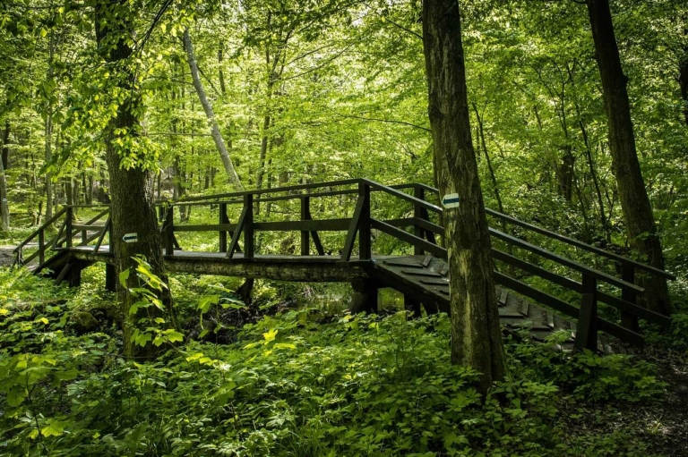 Magyarország Pilis túraútvonal