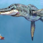 Pliosaurus_rossicus