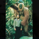 Bigfoot