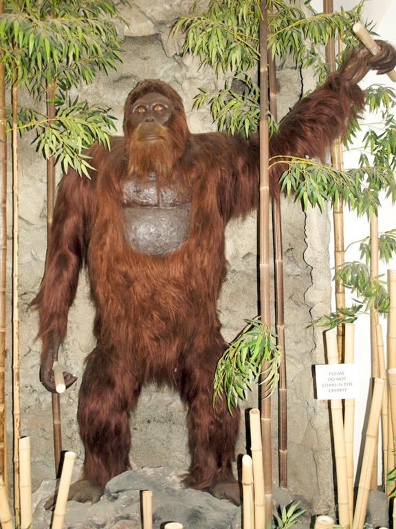 Gigantopithecus