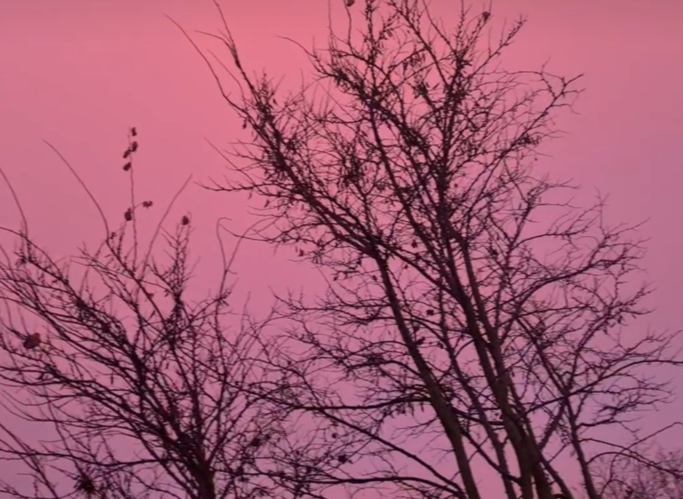 rózsaszín köd Magyarország