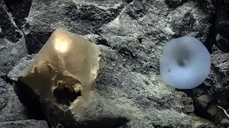 Titokzatos lyukas aranygömböt találtak az óceán fenekén