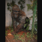 Gigantopithecus blacki