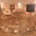 Olíva olaj - Puglia