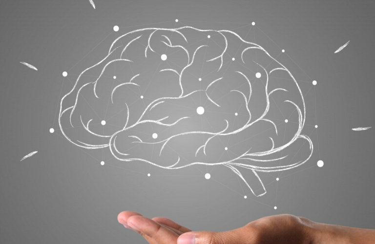 agy IQ intelligencia