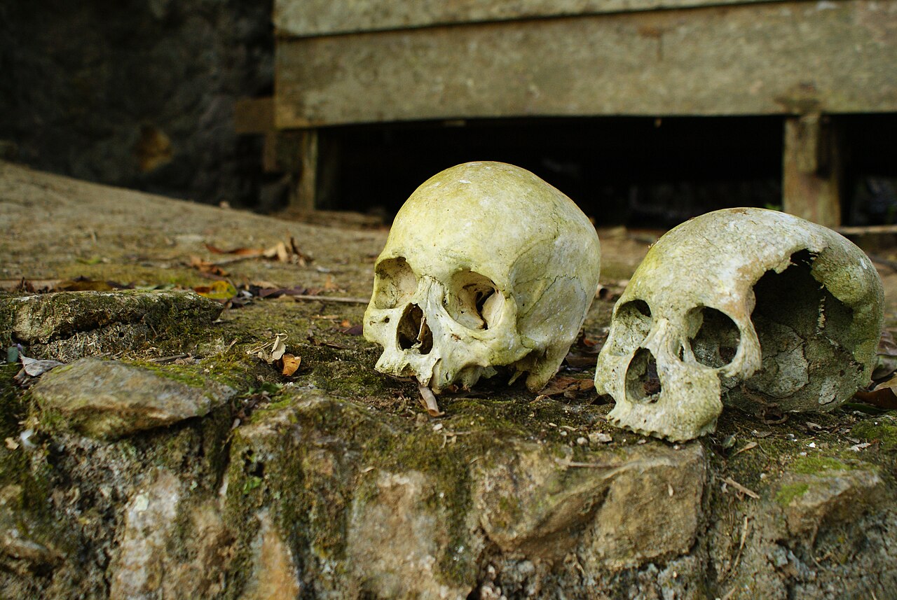 koponya koponyák fej Svéd sír