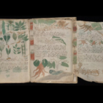 Voynich kézirat