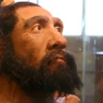 ősi emberfaj neandervölgyi ember emberiség